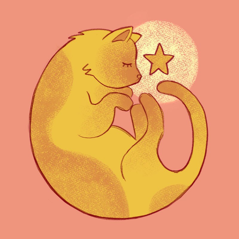 kanya@lamp.leemoon.network