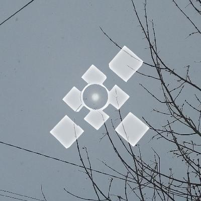 realunkey@mastodon.social