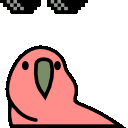 dealwithitparrot