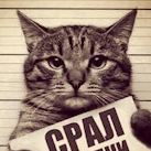 koke228@friends.grishka.me