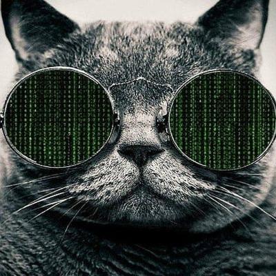 hugeping@mastodon.moscow