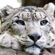 aquaratixc@mstdn.social