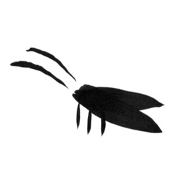 meta_bene@troet.cafe