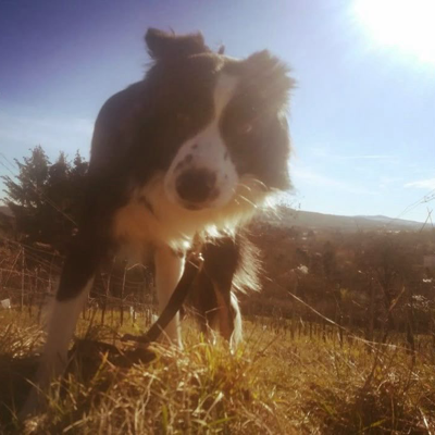 mikrozelenb@mastodon.social