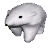 polarbear