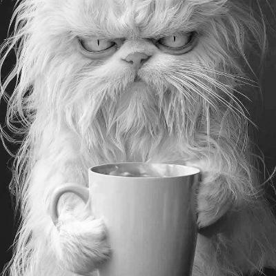 srebrogriv@mastodon.ml