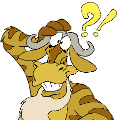 mrclon@mk.ilyamikcoder.com